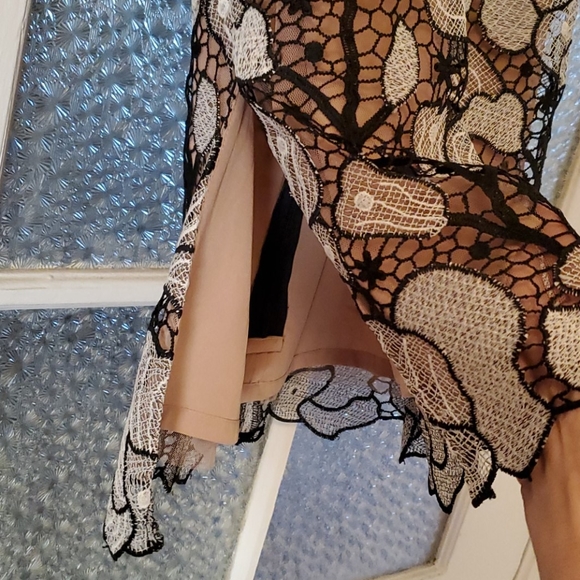 Host Pick BCBG Lace Strapless Knit White Black Nude NWT - Picture 4 of 13